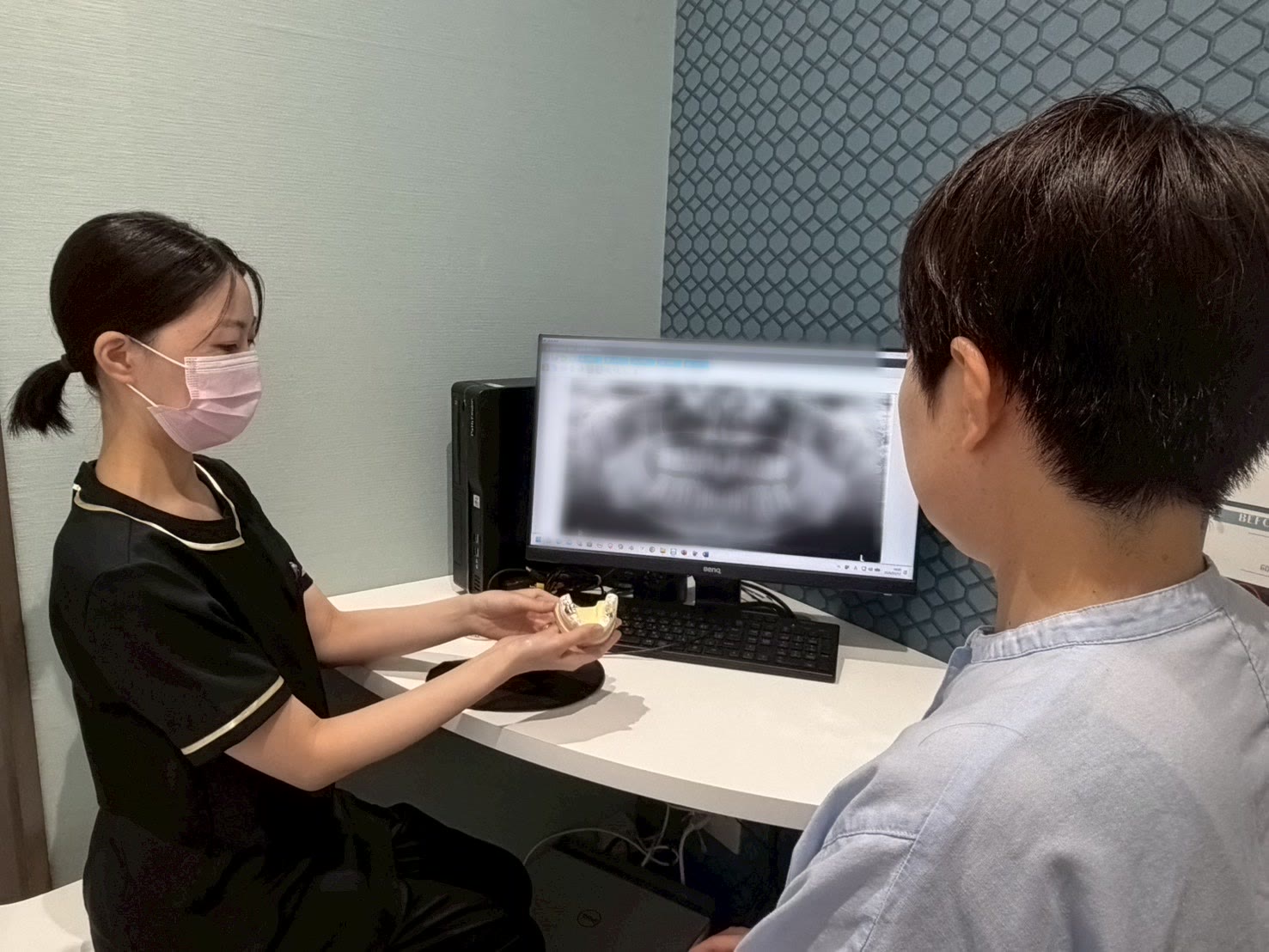 レントゲン画像と歯の模型を使った説明
